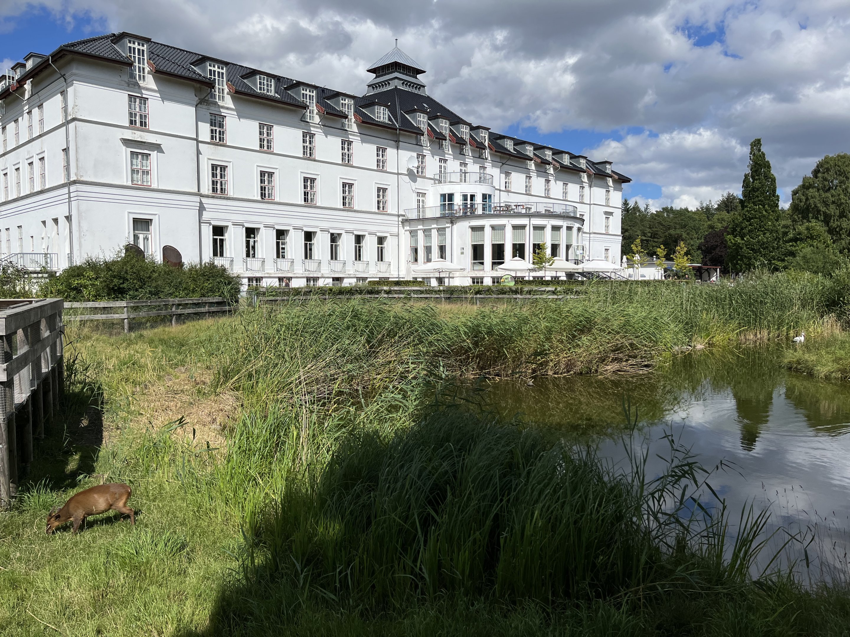 Reeves’s Muntjac/White Stork Exhibit