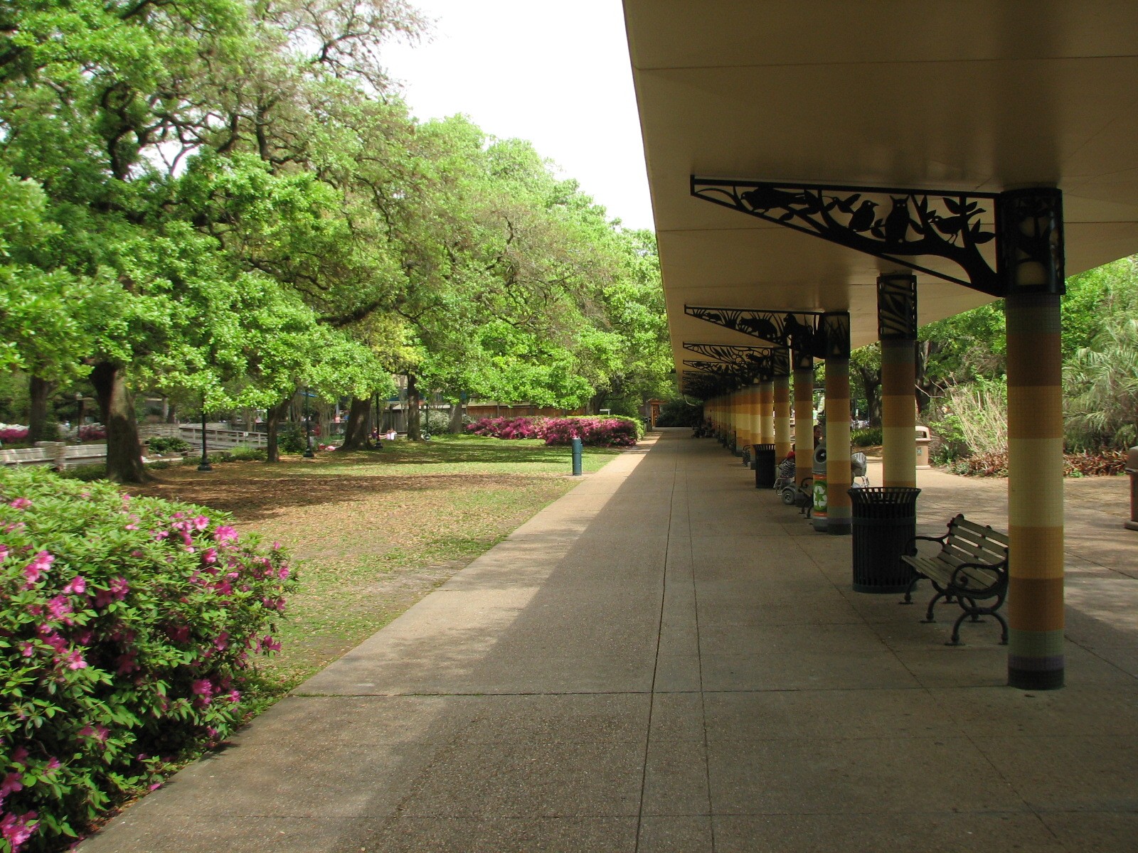 Reflecting Pool - Canopy