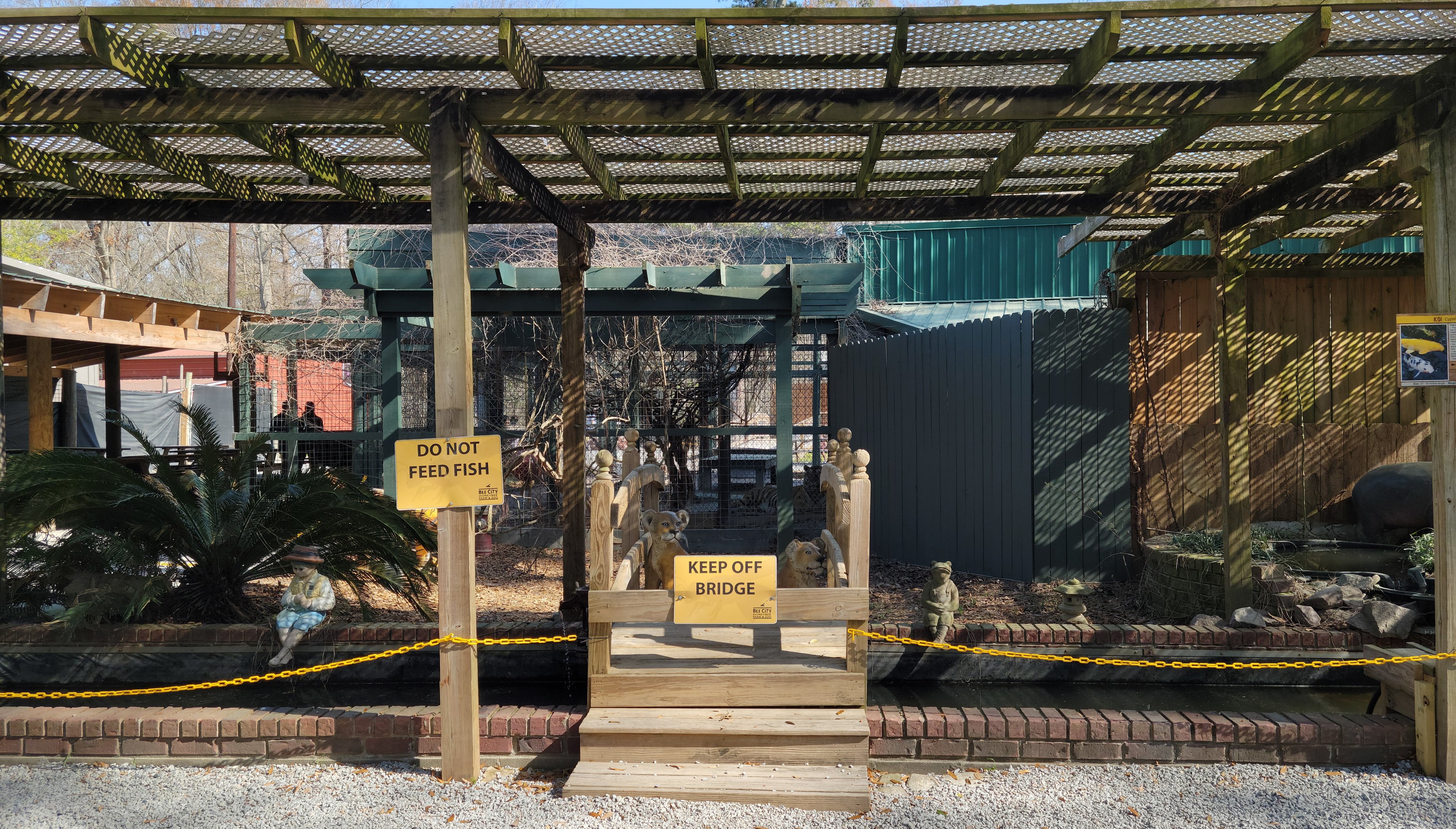 Reflection Pool - Bee City Zoo - March 2025