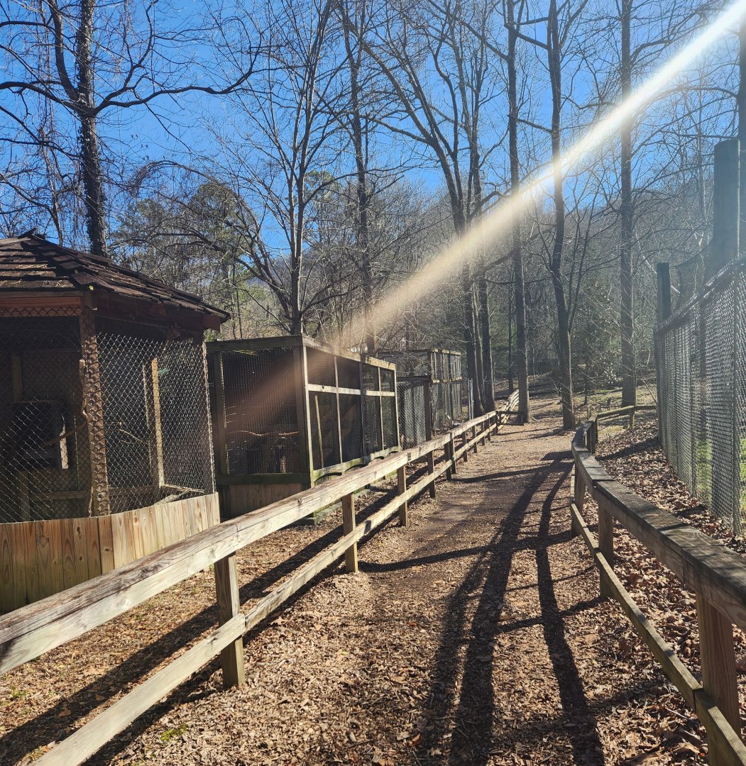 Reflection Riding - Native Wildlife exhibit area