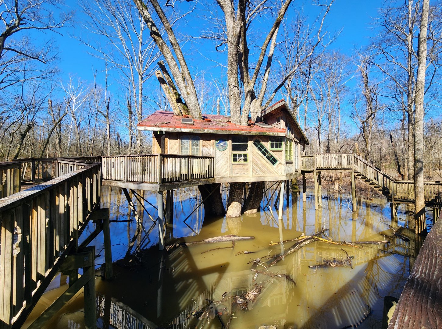 Reflection Riding - Treehouse area