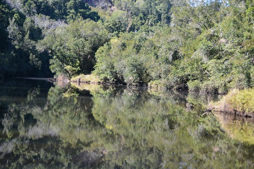 Reflections in pool.
