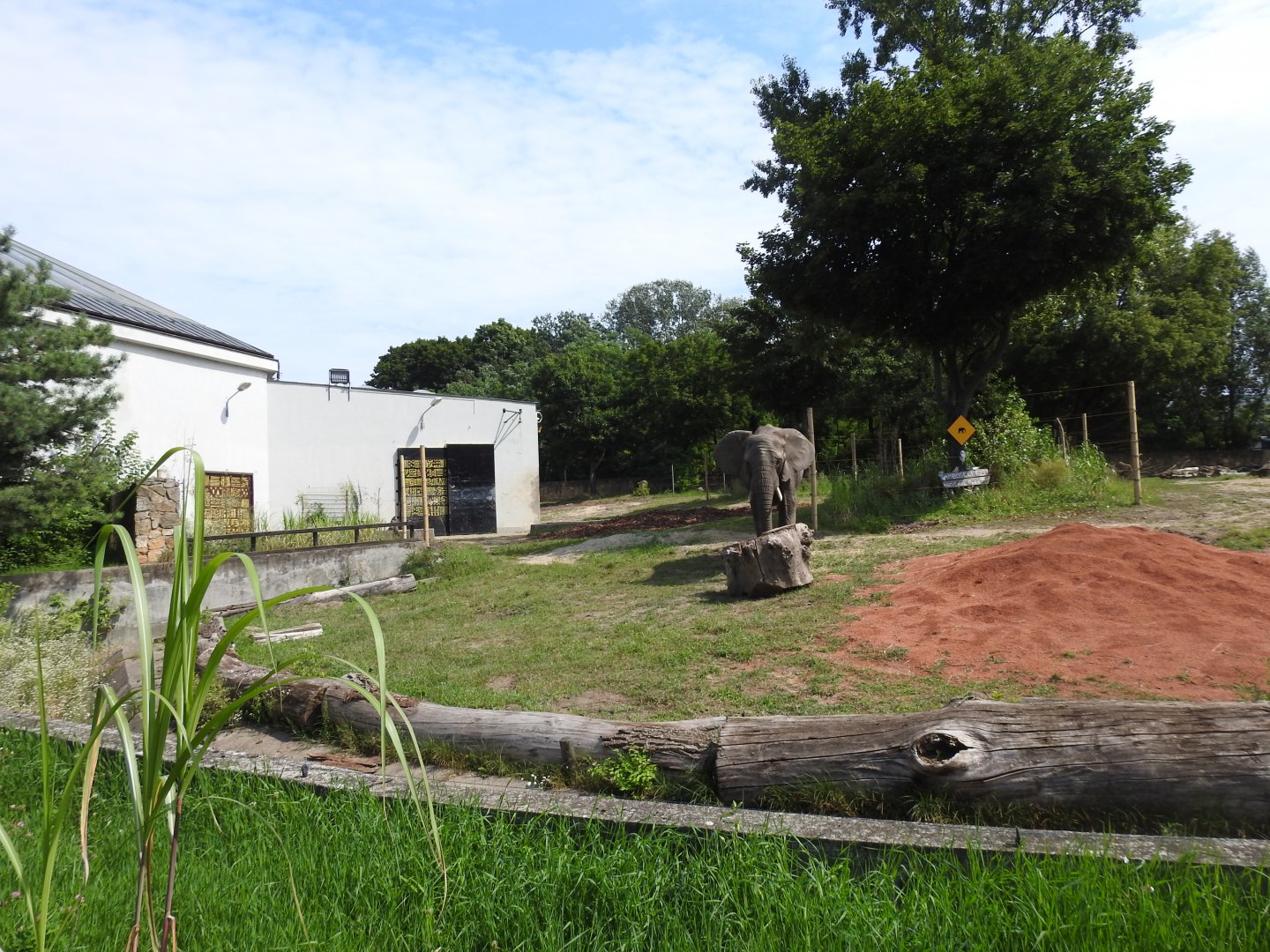 Refreshed outdoor enclourse for African elephants