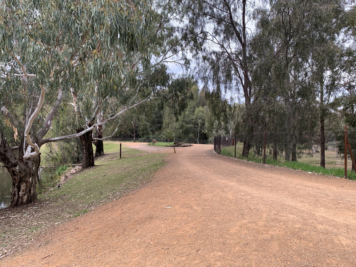 Refreshed Path Near Hippos