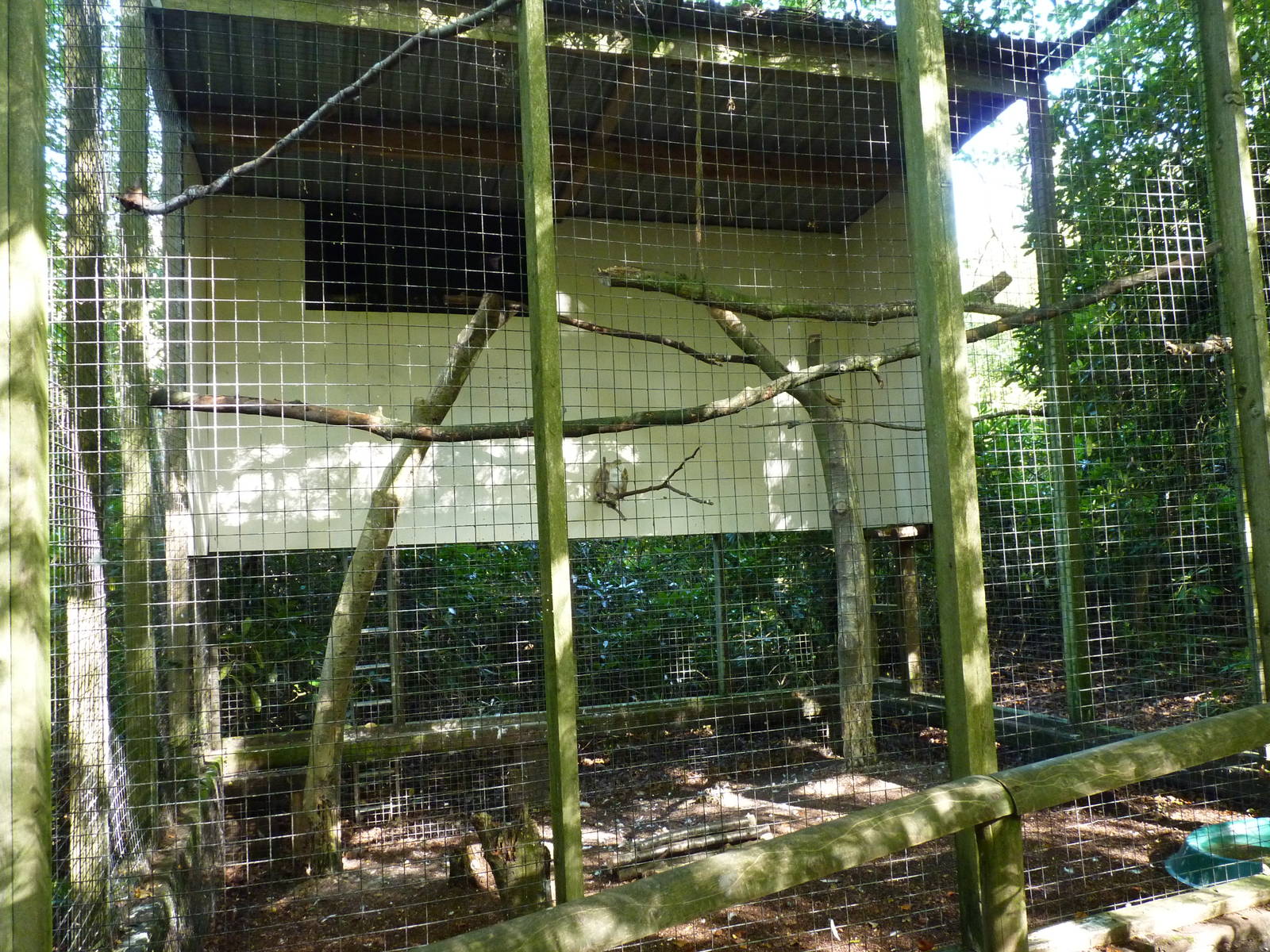 Refurbed Barn Owl Aviary