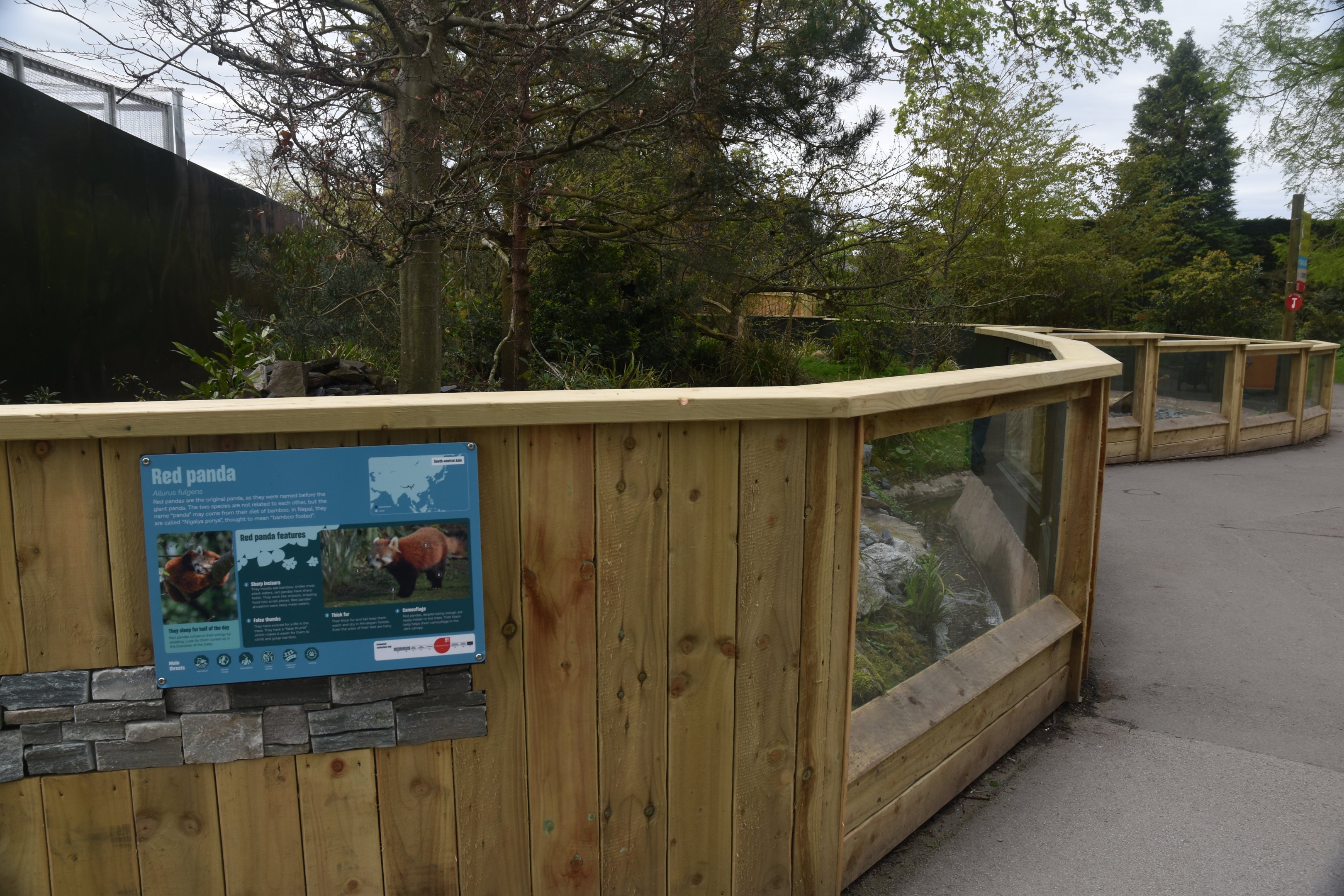 Refurbed Red Panda Enclosure at Chester, 18th April 2024