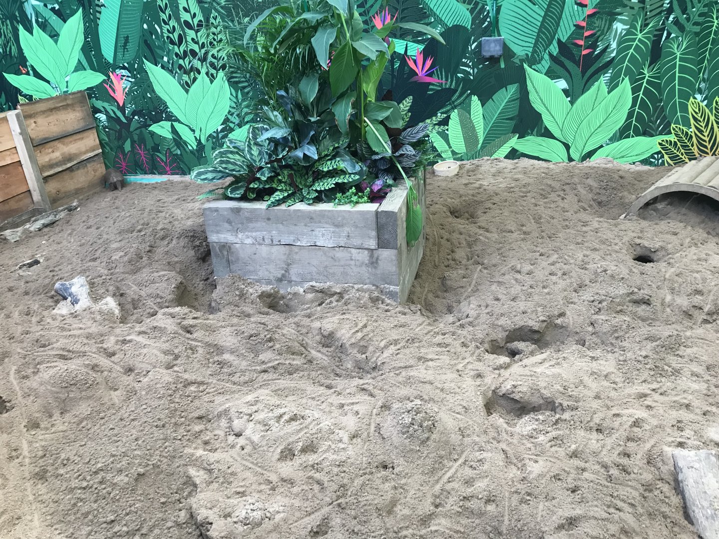 Refurbished armadillo enclosure