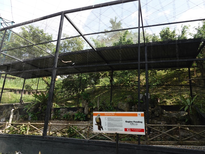 Refurbished Brahminity Kite aviary