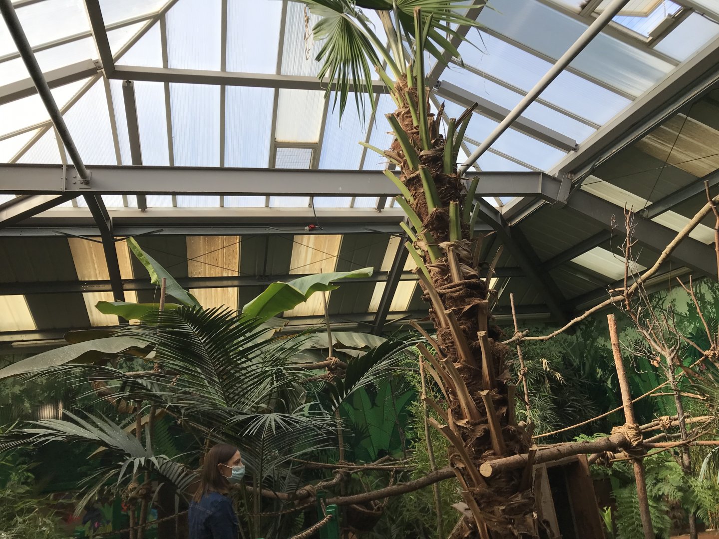 Refurbished brilliant bird house