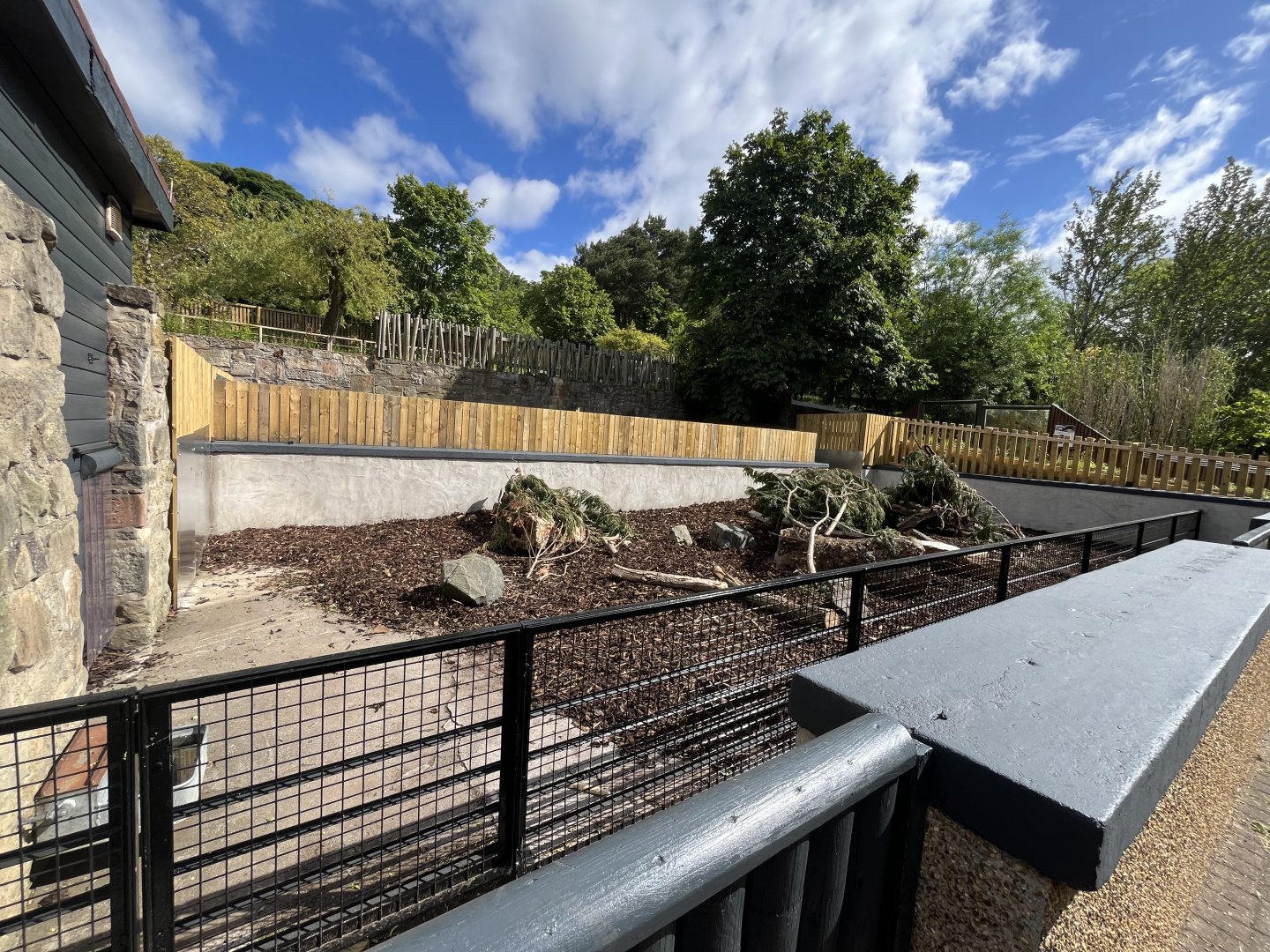 Refurbished cape porcupine enclosure 8.6.24