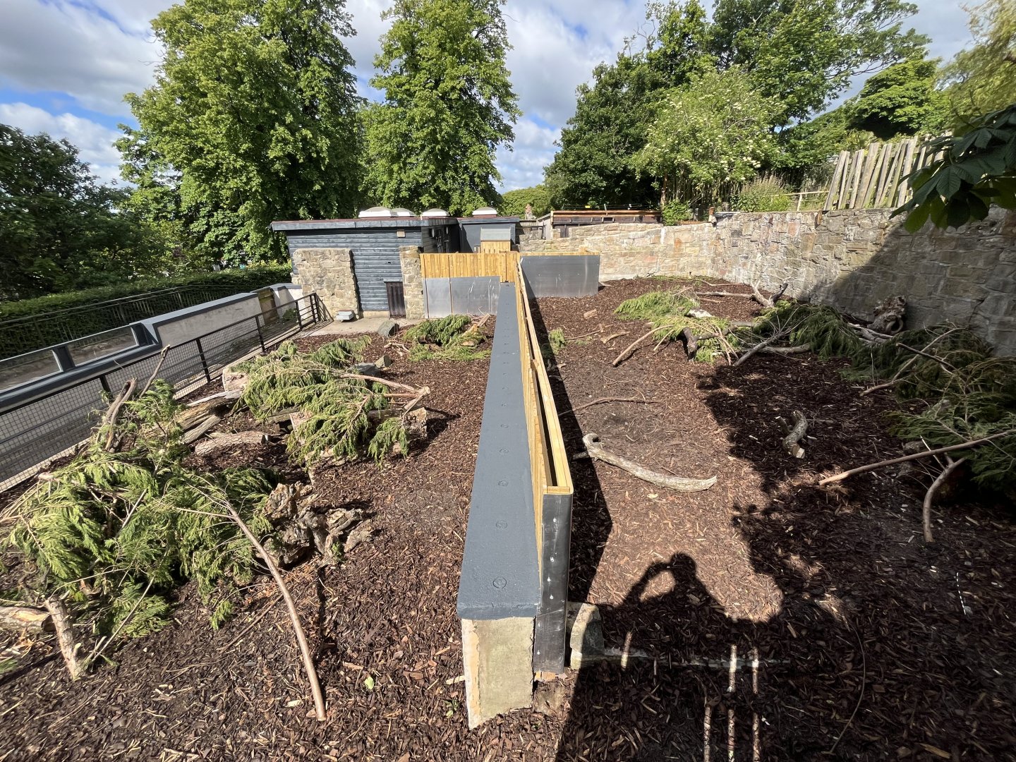 Refurbished cape porcupine enclosure 8.6.24