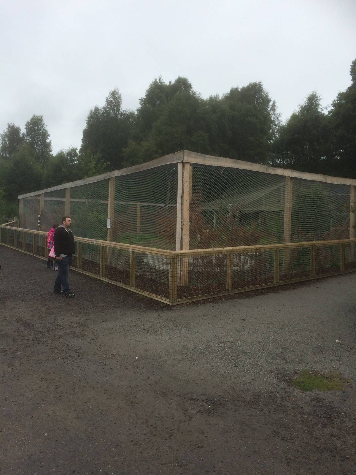 Refurbished European crane aviary