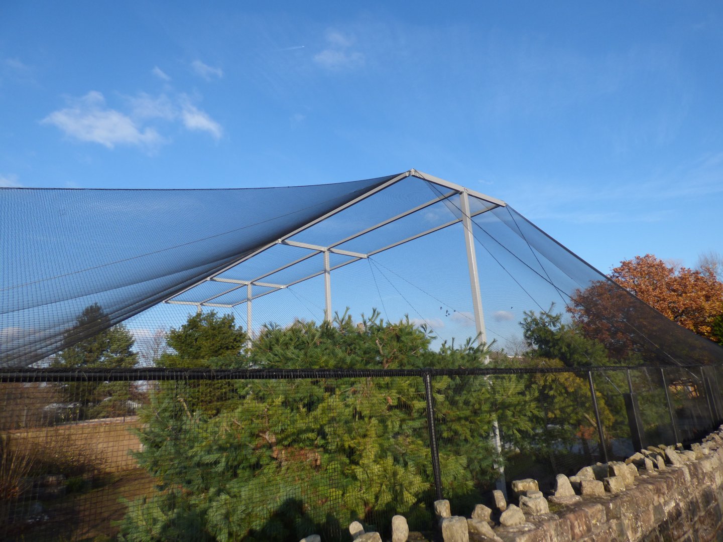 Refurbished Former Condor aviary