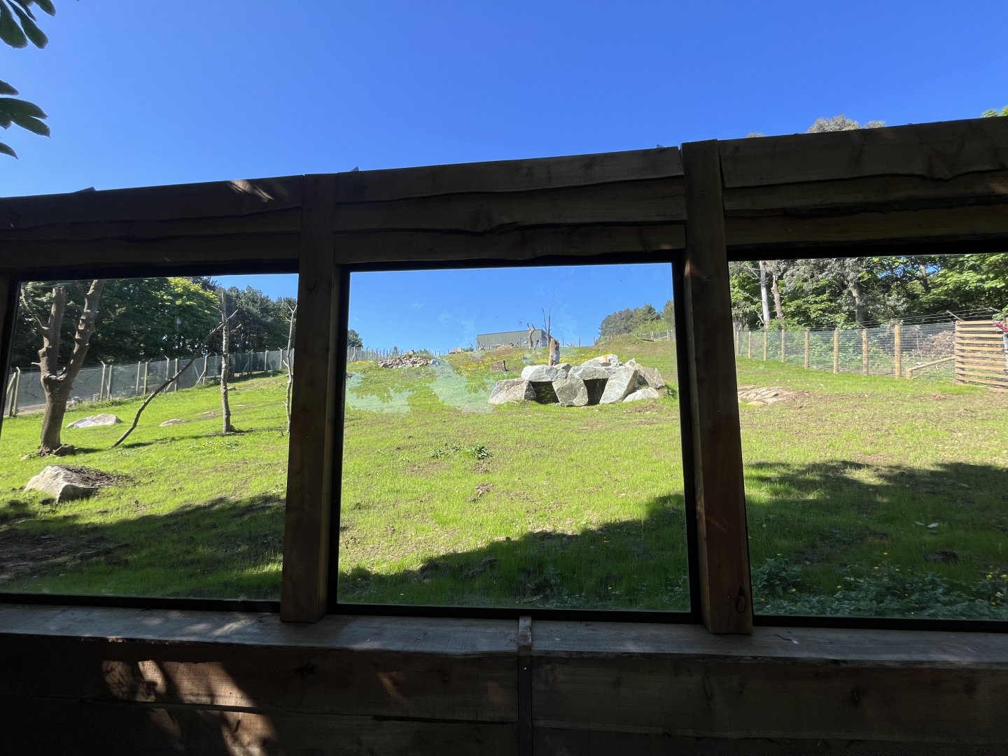 Refurbished Gelada enclosure 20.5.24