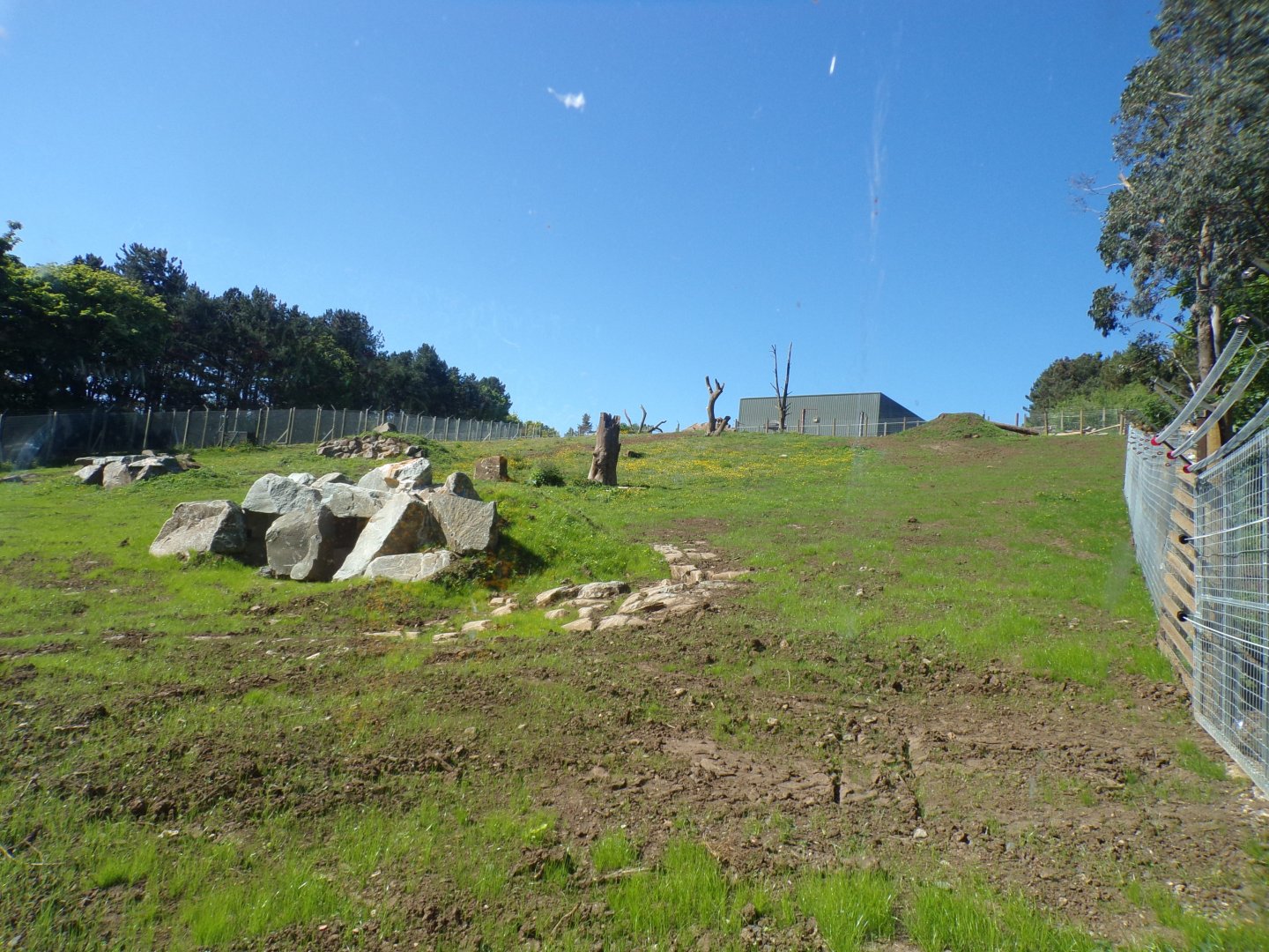 Refurbished gelada enclosure 20.5.24