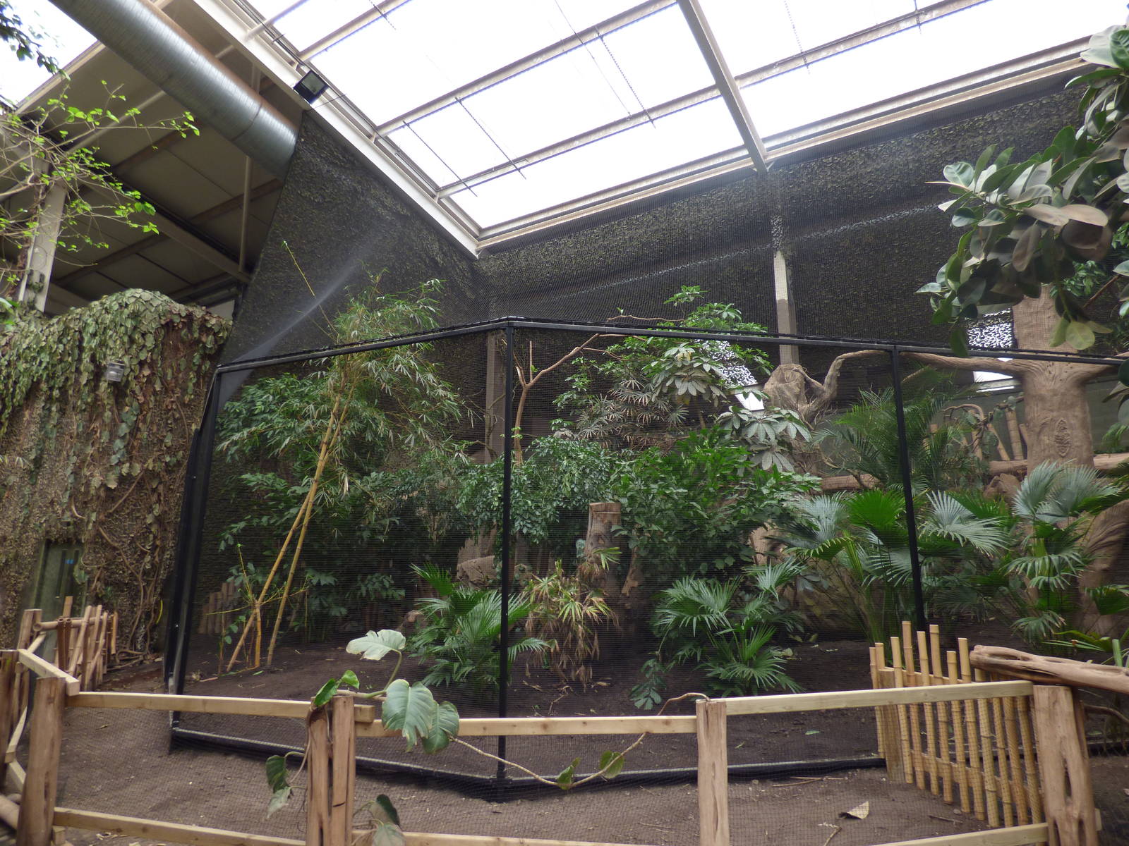 Refurbished Hornbill Aviary in Elephants of the Asian Forest