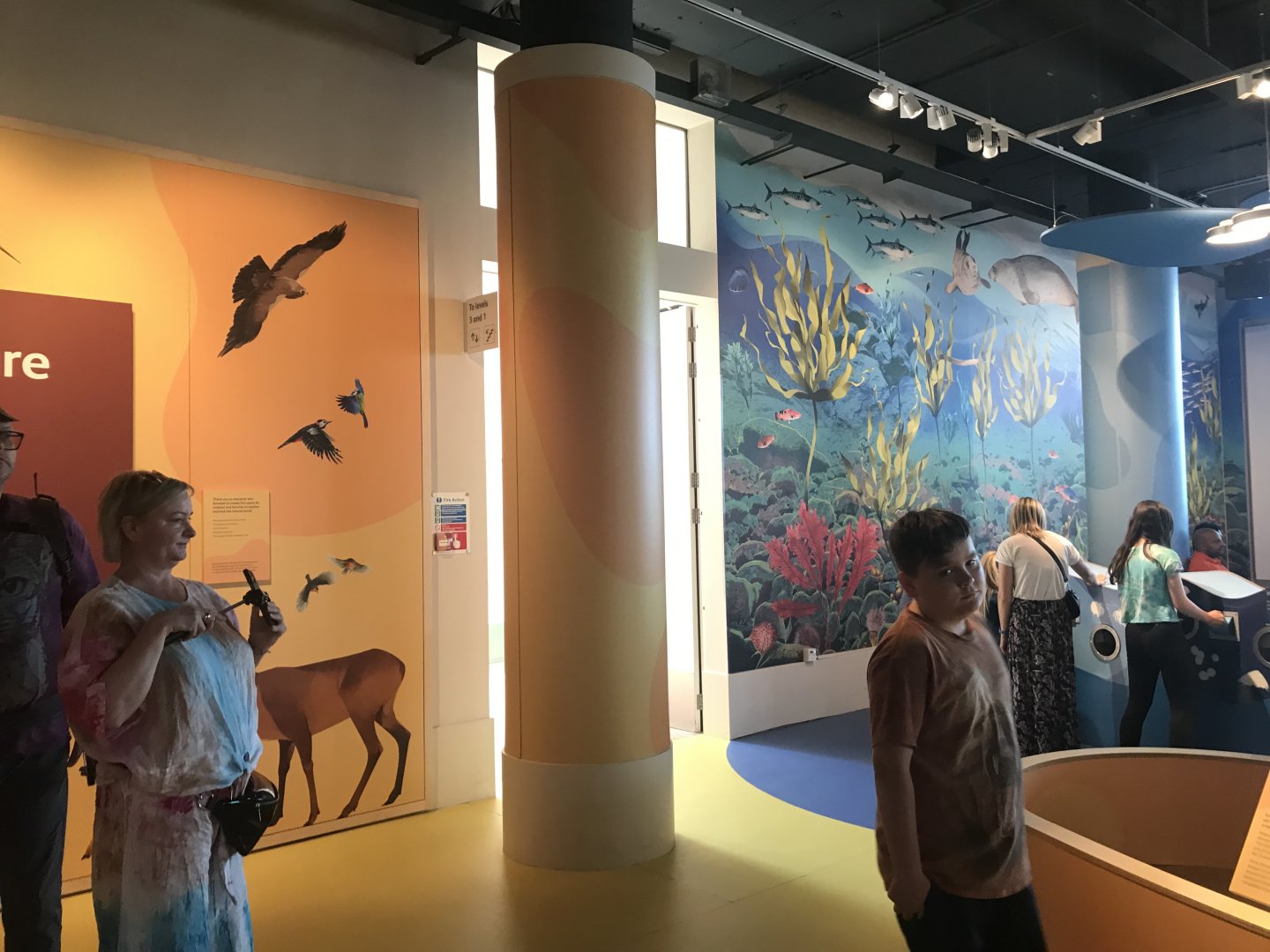 Refurbished kids area (2)