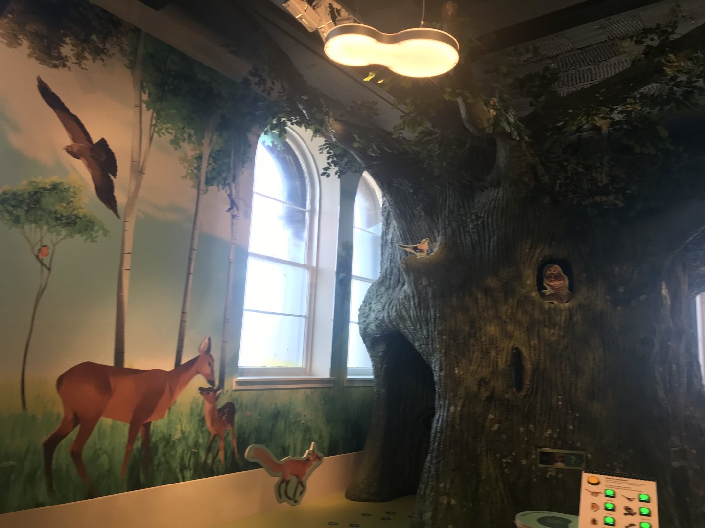 Refurbished kids area (3)