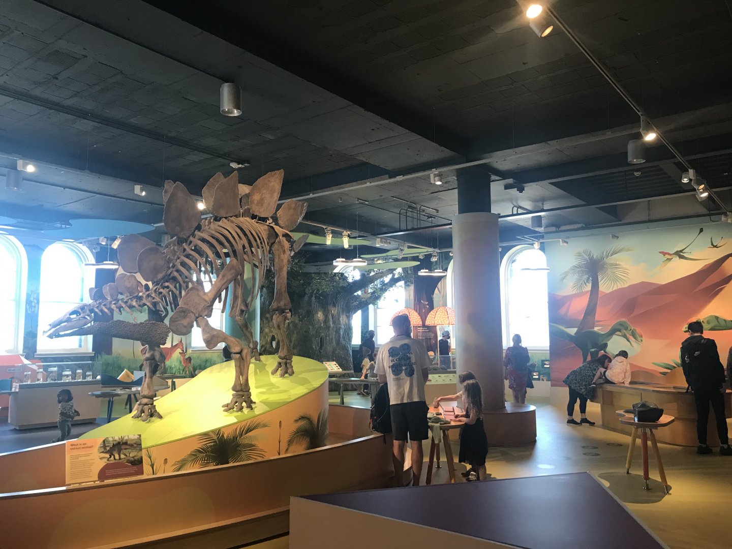 Refurbished kids area