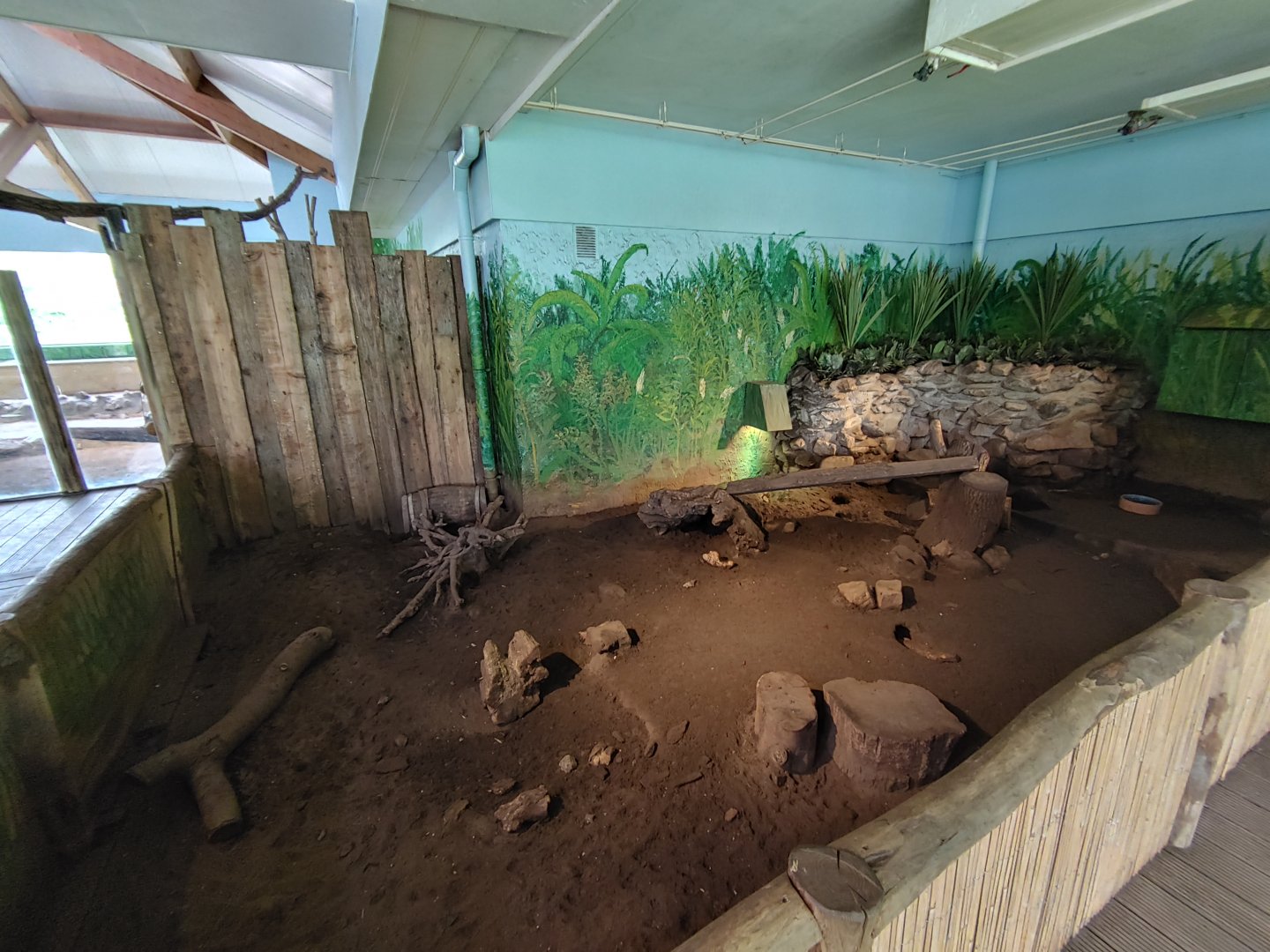 Refurbished Large hairy armadillo enclosure.