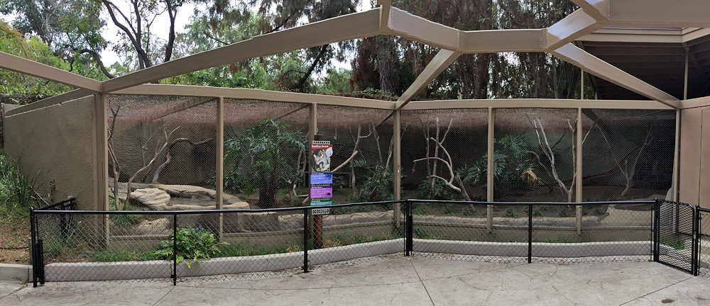 Refurbished ocelot exhibit