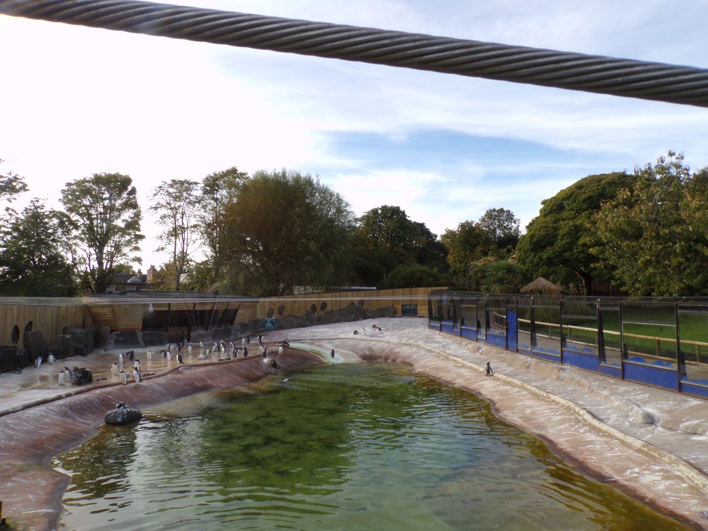 Refurbished penguin enclosure 16.9.24