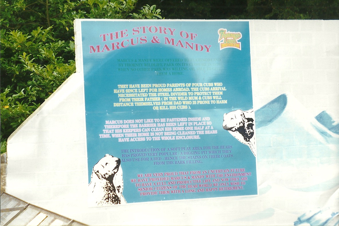 Refurbished Polar Bear exhibit 8th August 1998