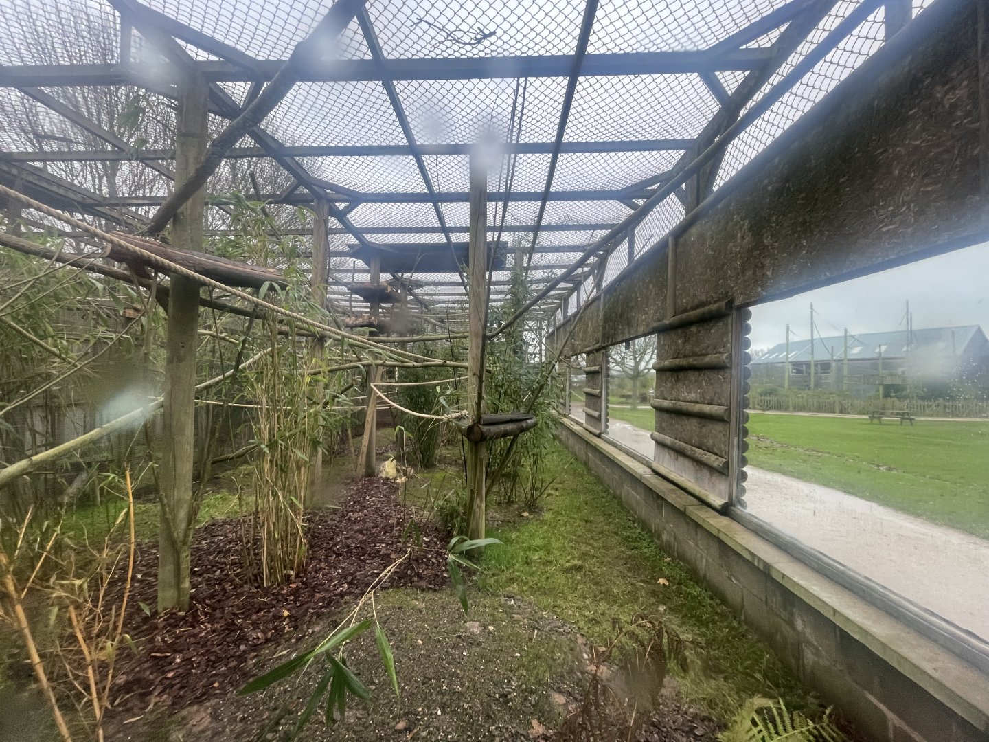Refurbished Primate Enclosure