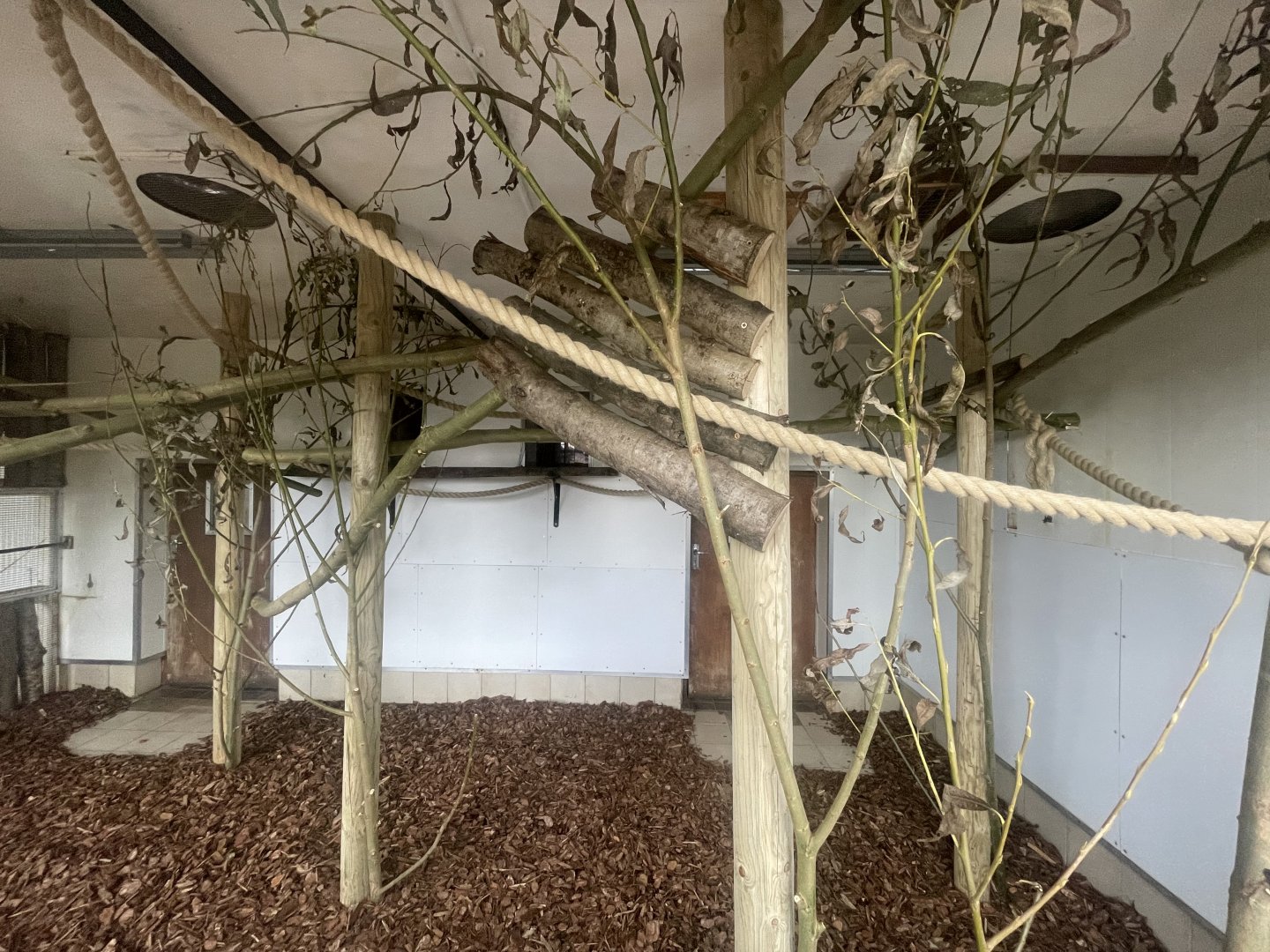 Refurbished Primate Exhibit