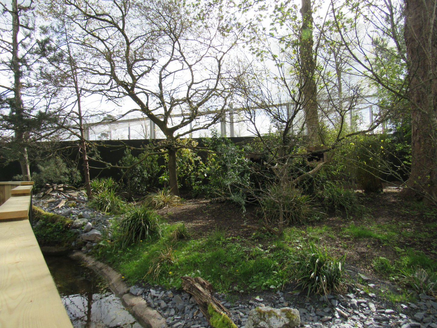 Refurbished red panda enclosure