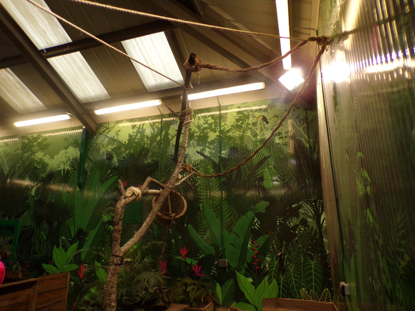 Refurbished sloth enclosure (2)