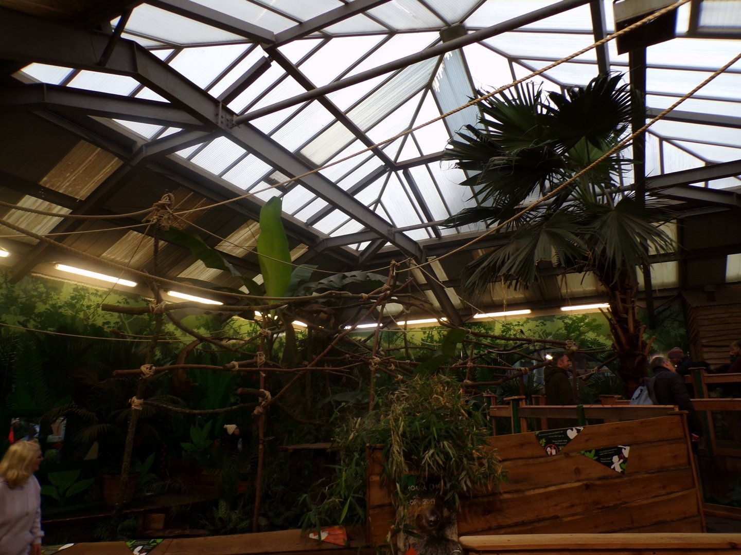 Refurbished sloth enclosure (3)