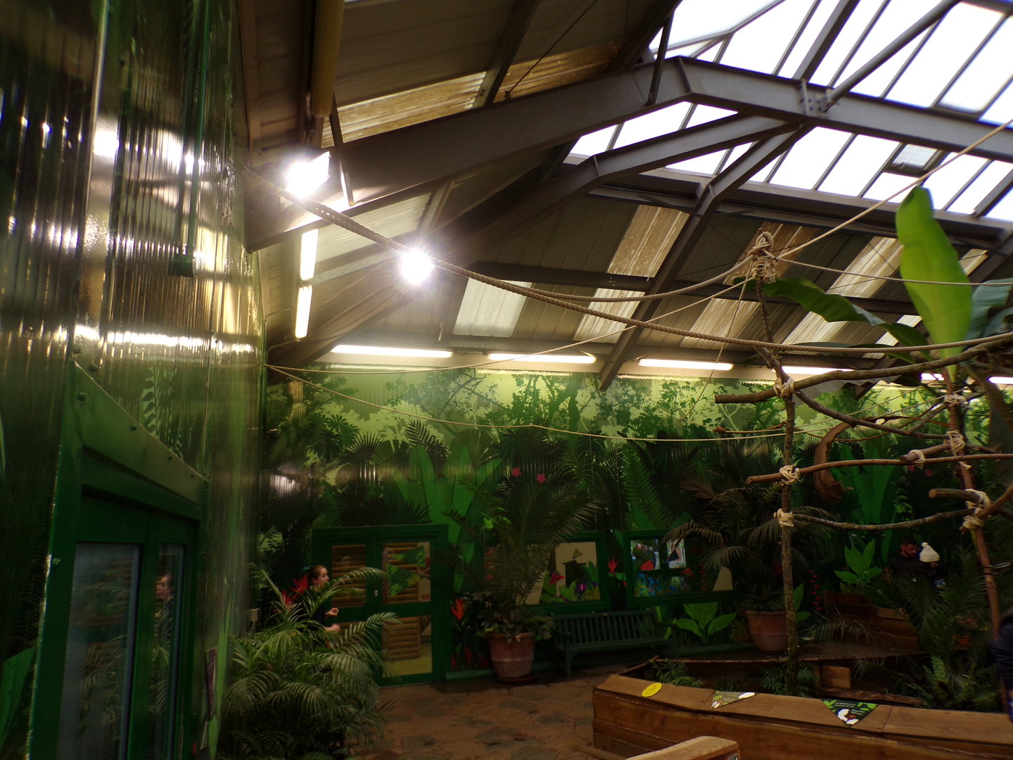 Refurbished sloth enclosure (4)