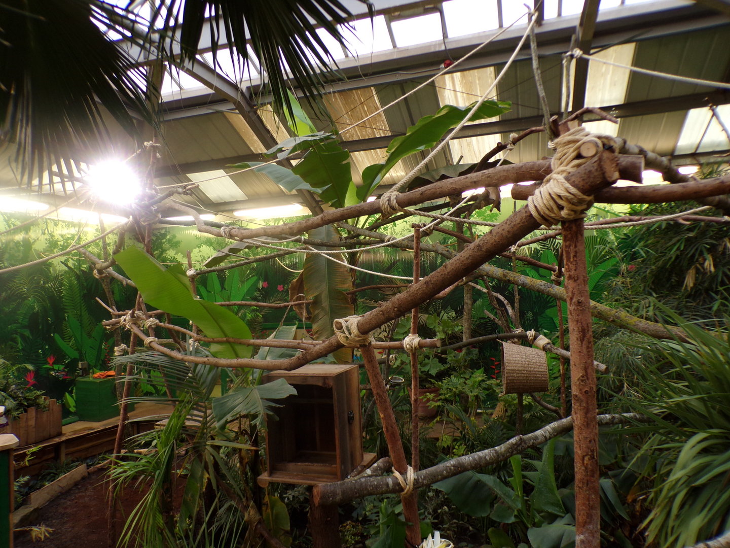 Refurbished sloth enclosure (5)