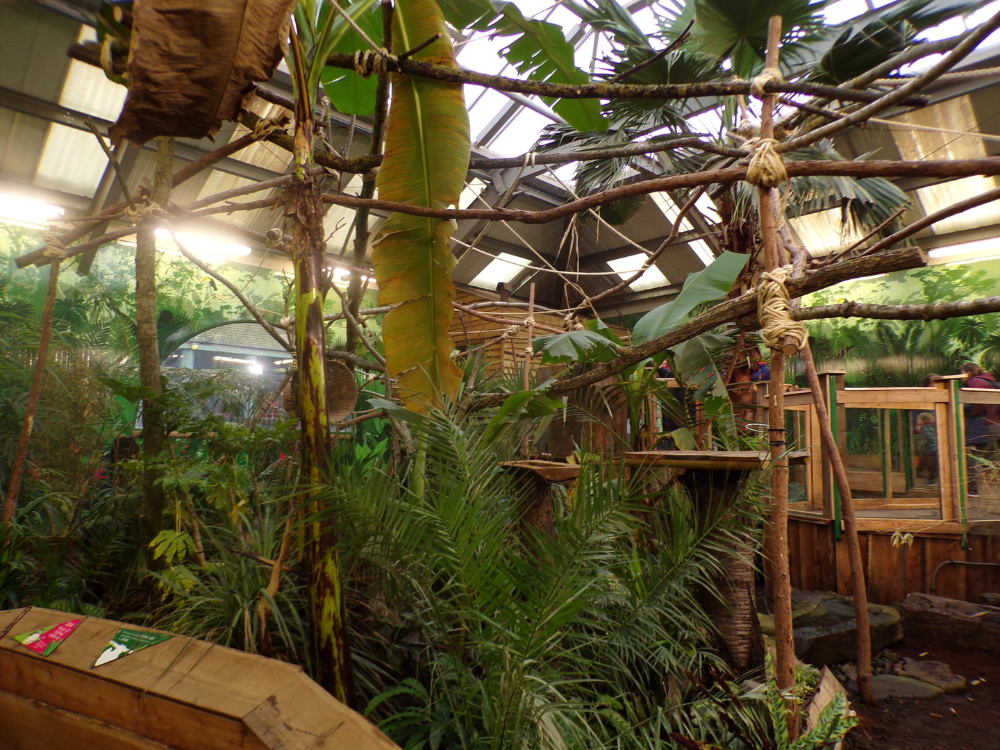 refurbished sloth enclosure