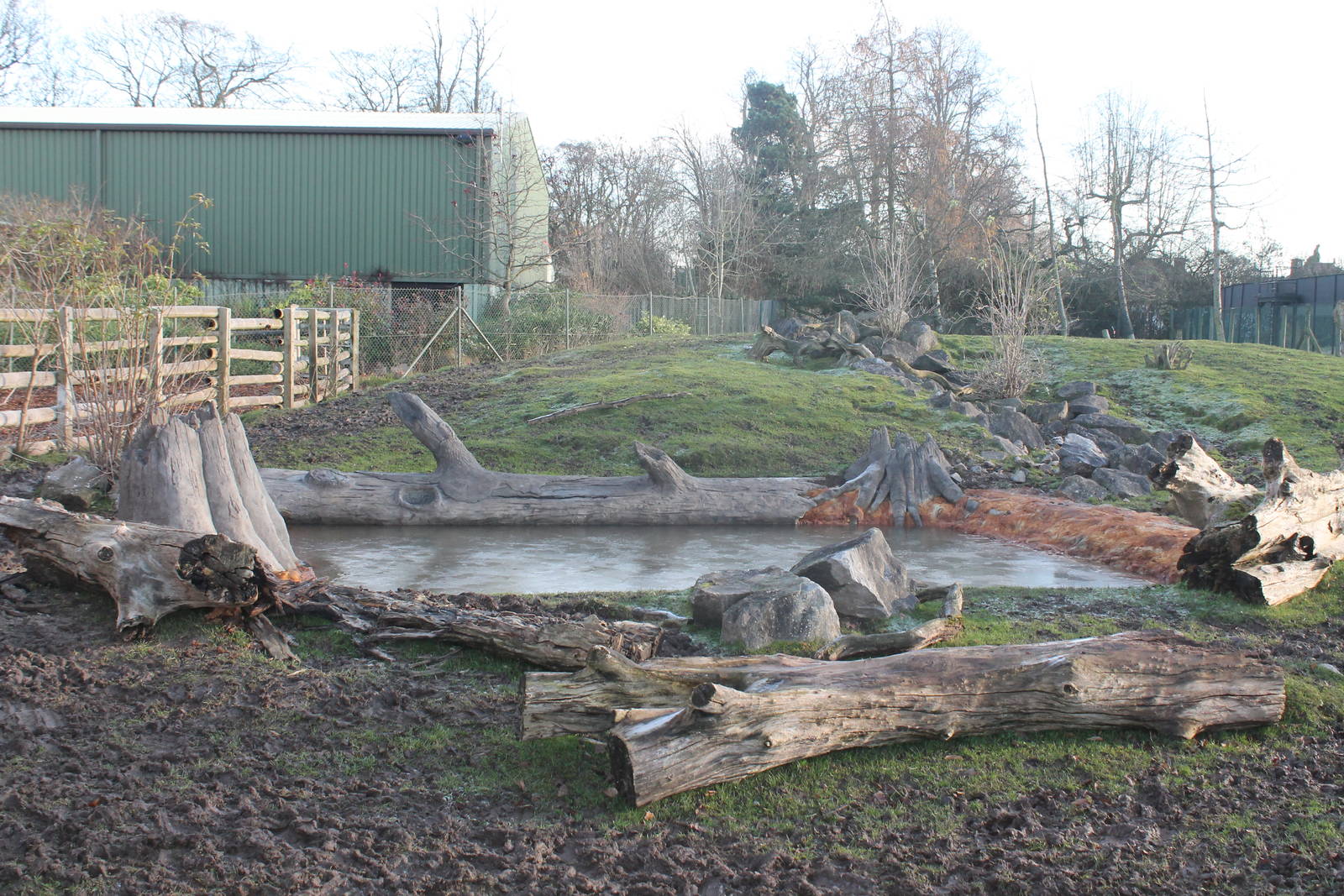 refurbished tapir pool Chester Zoo 29th November 2012