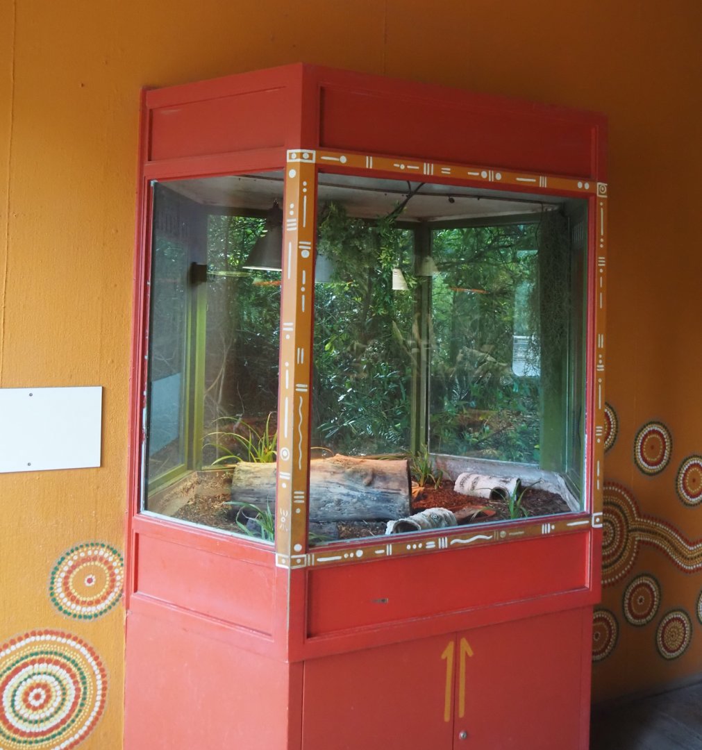 Refurbished terrarium in the Australian terrarium house, 2025-07-12