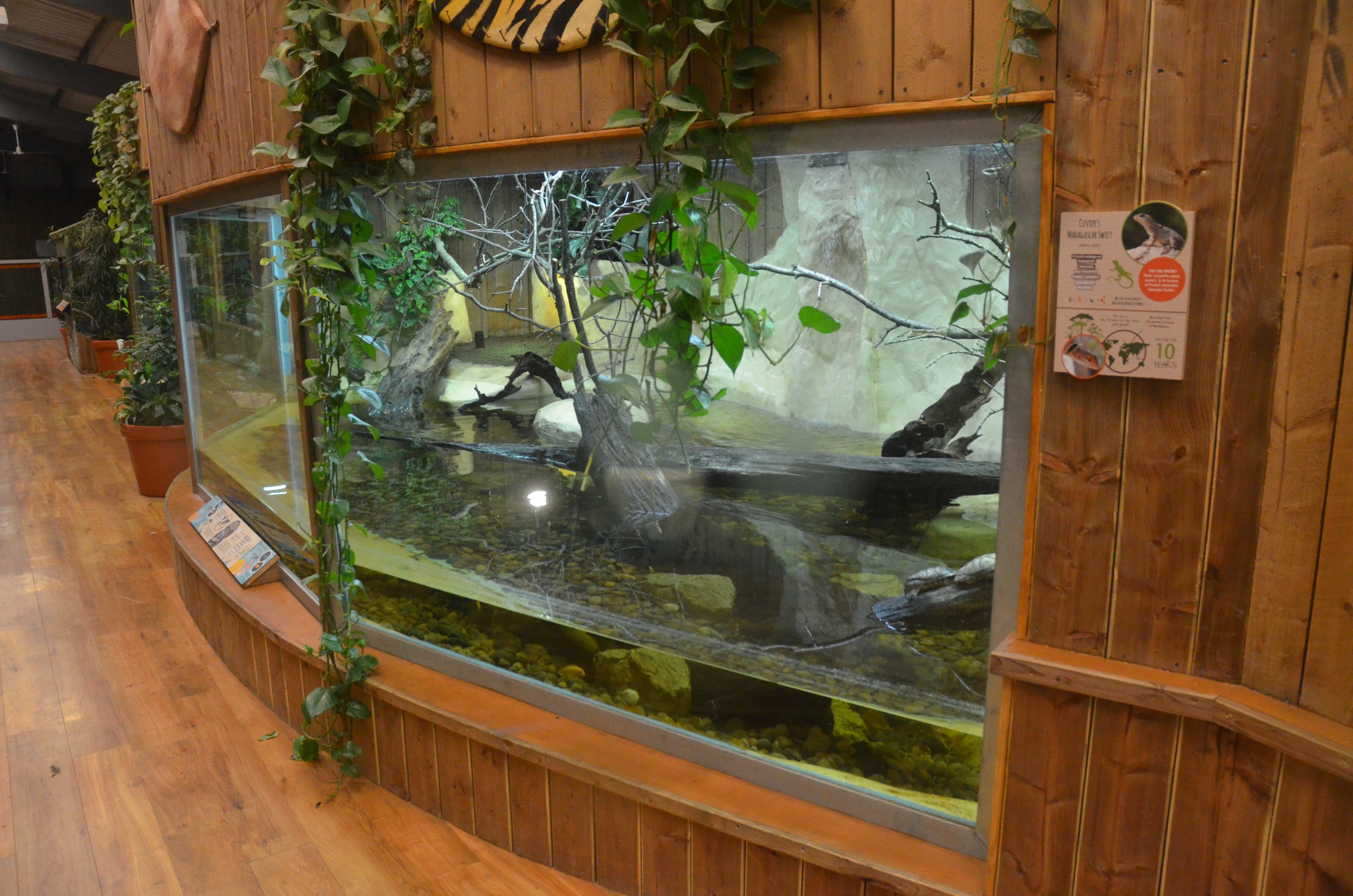 Refurbished Vivarium at Colchester, 09/09/19