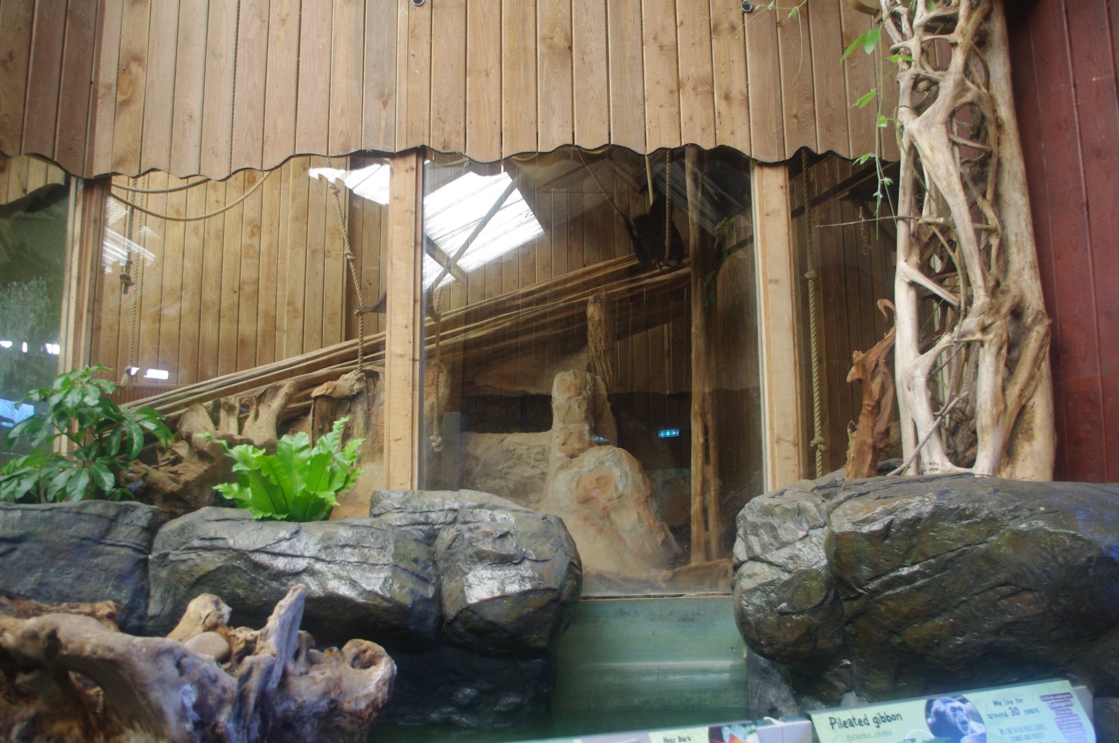 Refurbished Wilds of Asia building- Colchester Zoo 25/2/2022