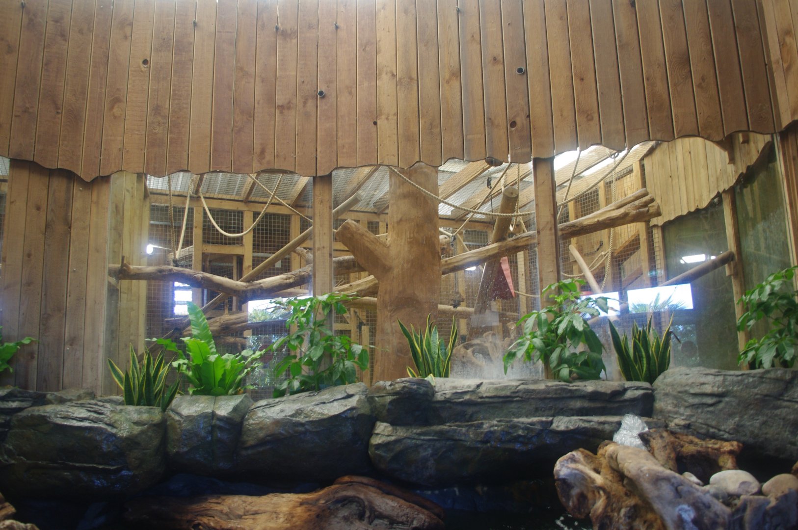 Refurbished Wilds of Asia building- Colchester Zoo 25/2/2022