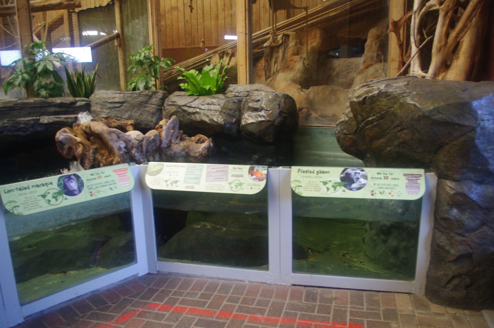 Refurbished Wilds of Asia building- Colchester Zoo 25/2/2022