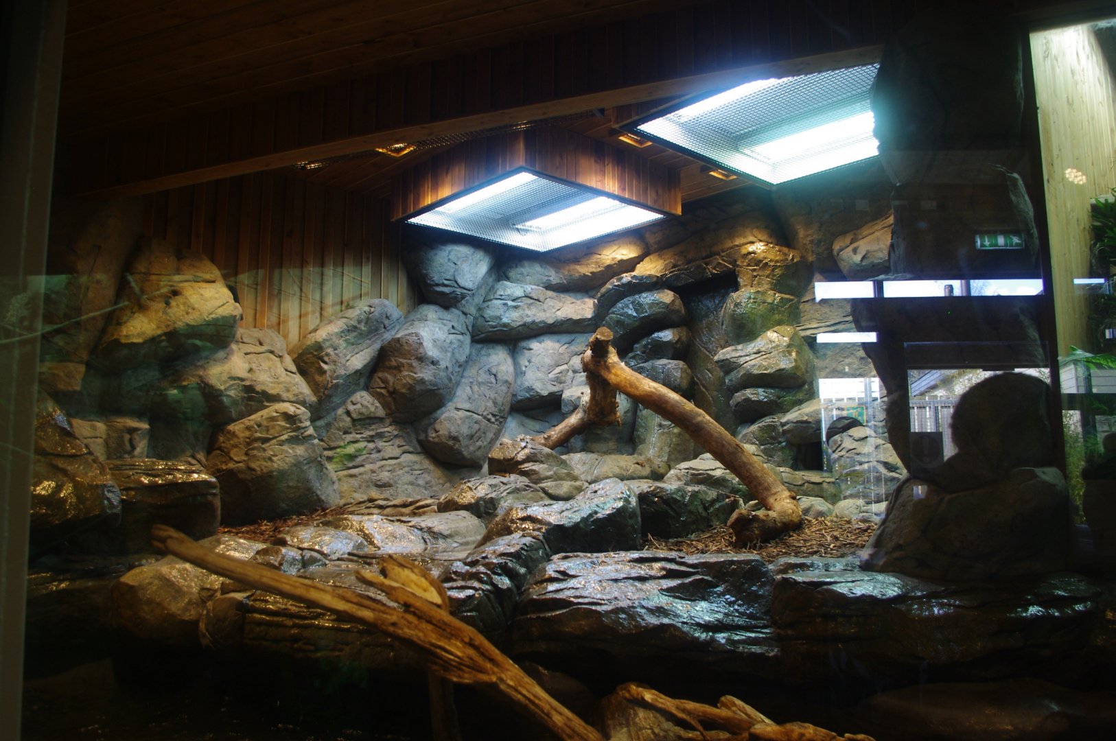 Refurbished Wilds of Asia building- Colchester Zoo 25/2/2022