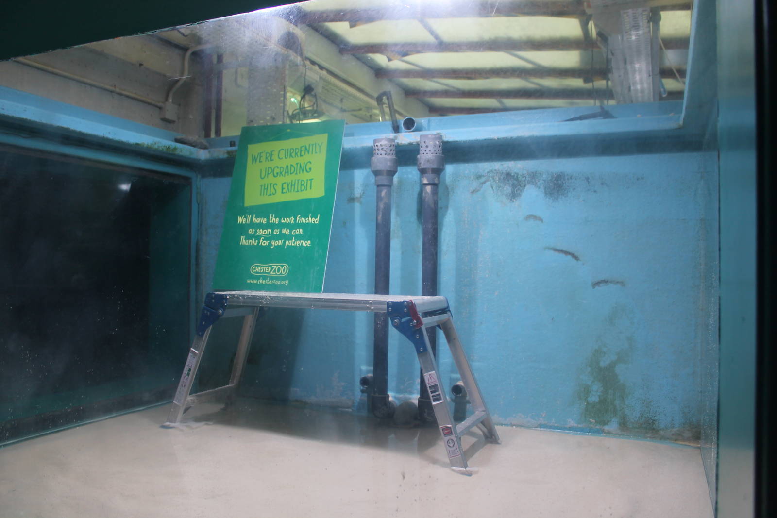 Refurbishment of cichlid tank Chester Zoo 8 March 2014