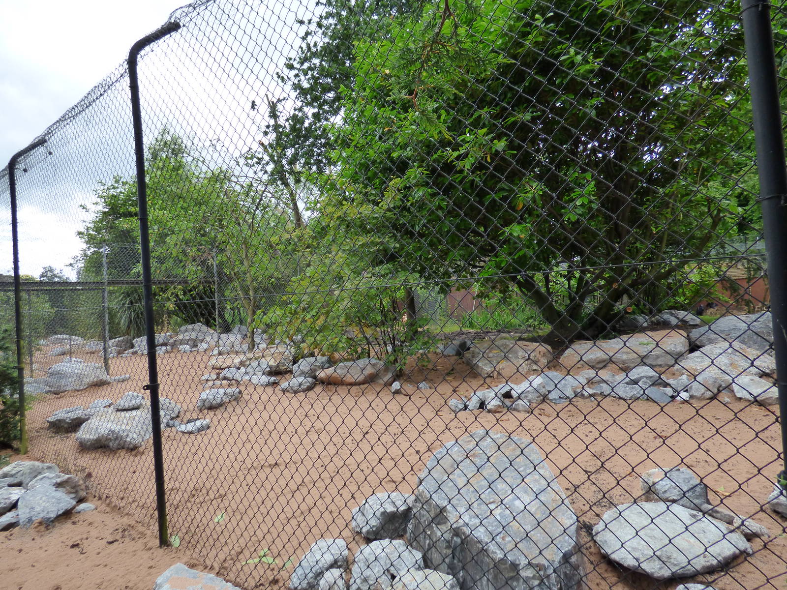 Refurbishment of former Cheetah and Cassowary Enclosure