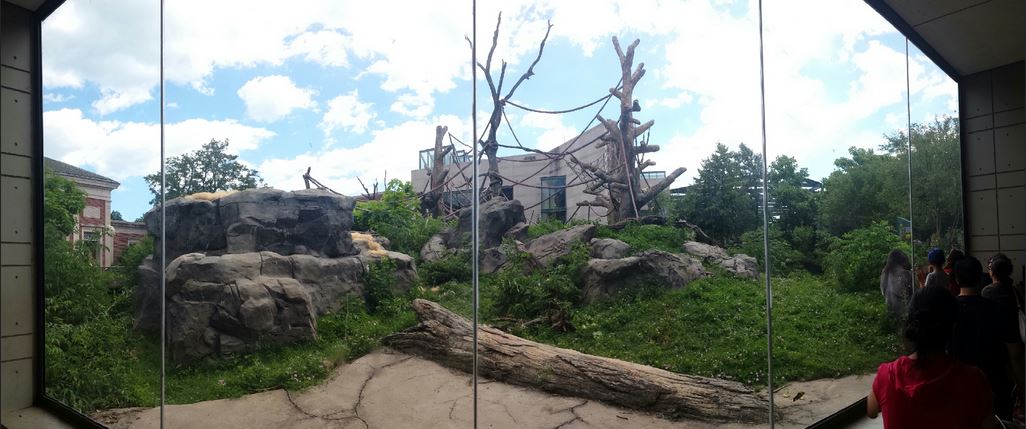 Regensetin Center for African Apes - First Gorilla Exhibit