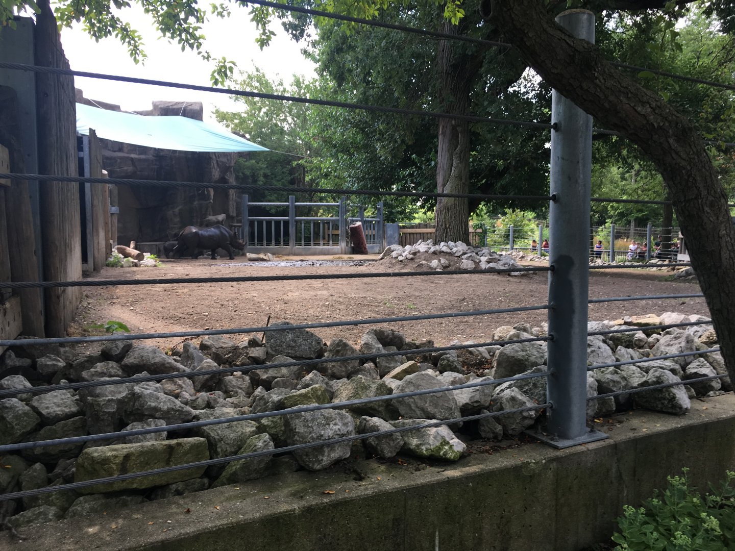 Regenstein African Journey - Eastern Black Rhino Enclosure #2