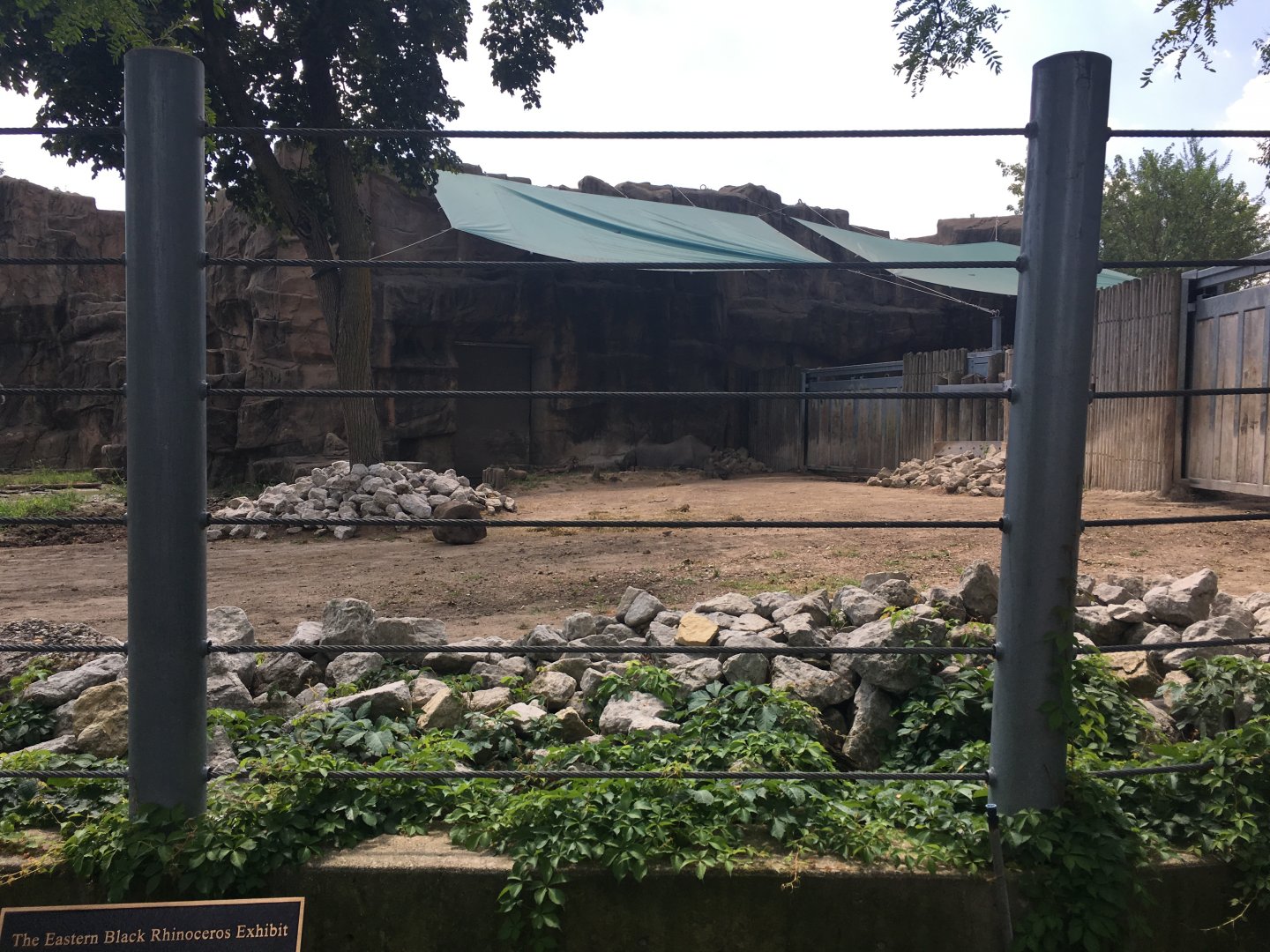 Regenstein African Journey - Eastern Black Rhino Enclosure #3