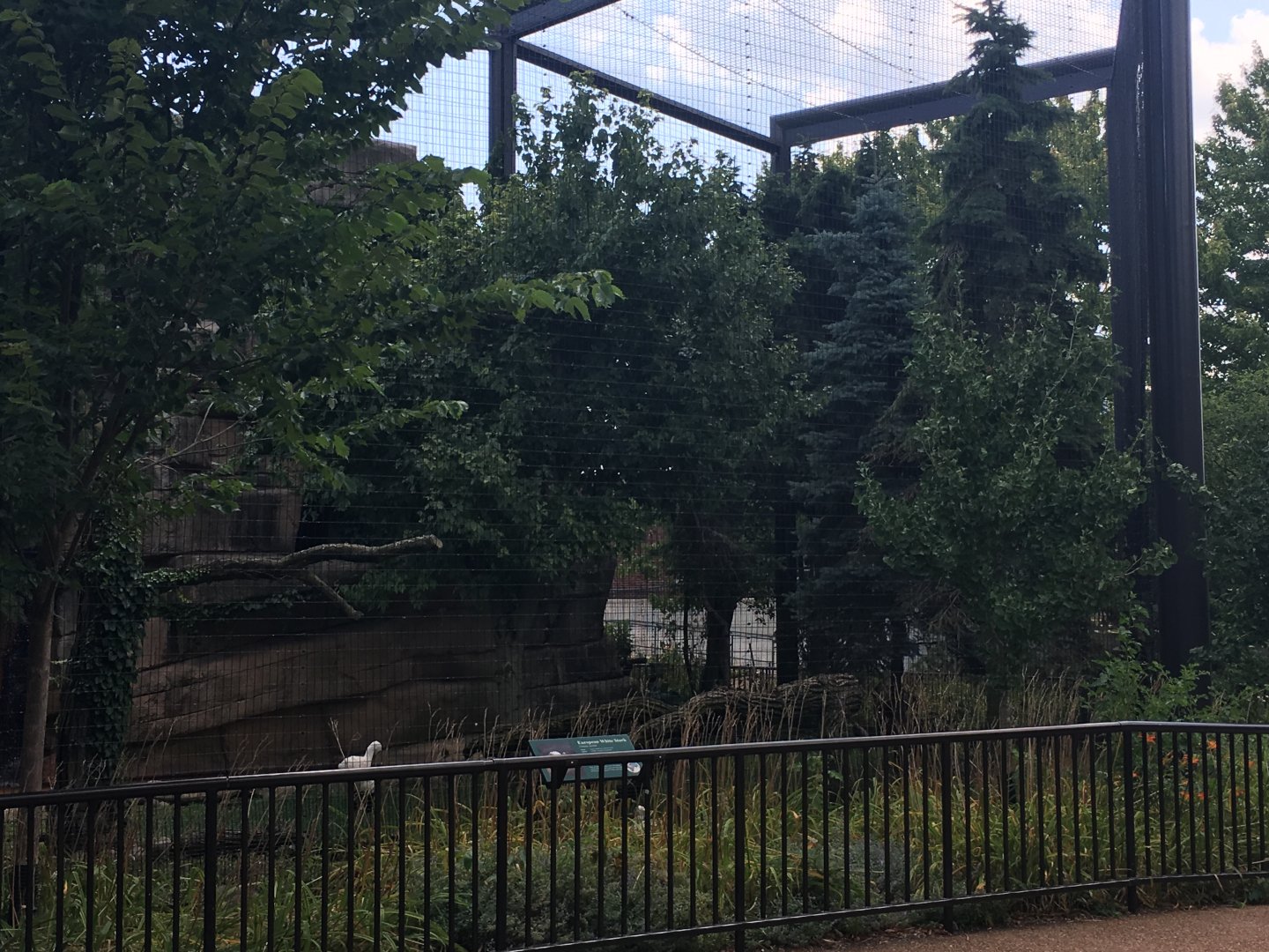 Regenstein Birds of Prey - White Stork/Eurasian Black Vulture Aviary