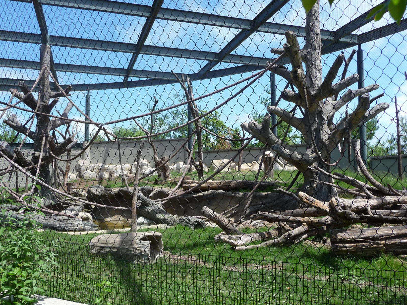 Regenstein Center for African Apes - Lincoln Park Zoo