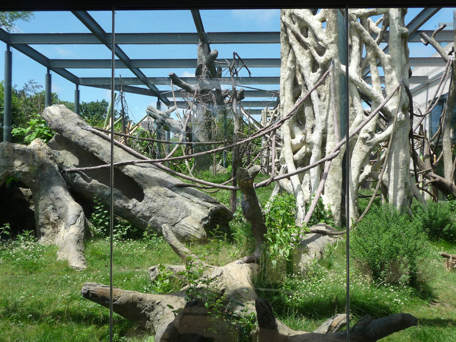 Regenstein Center for African Apes - Lincoln Park Zoo